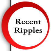 life in the ripples essential oils jonesboro arkansas